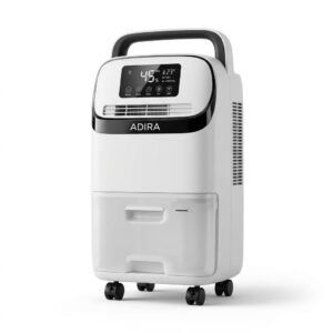 Dehumidifier